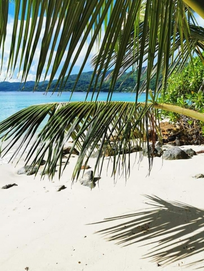 Geocaching auf Mahé, eine der Hauptinseln der Seychellen
