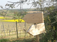 Blühendes Mölsheim – Wildbienenlehrpfad – GC8GVG2