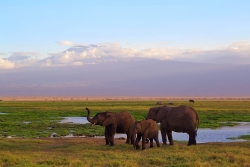 Afrika - rund um den Kilimandscharo <br /> 08. - 18.10.2022