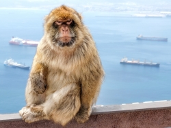 Marokko, Spanien, Gibraltar<br />12. - 15. Oktober 2023
